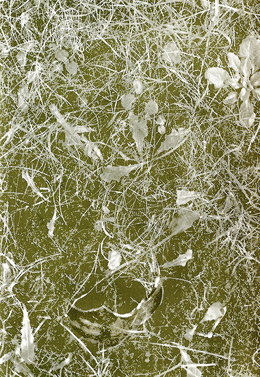 glass (hidden in the grass) screen print, 60 cm x 90 cm